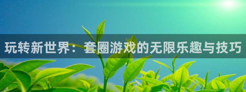 玩转新世界：套圈游戏的无限乐趣与技巧