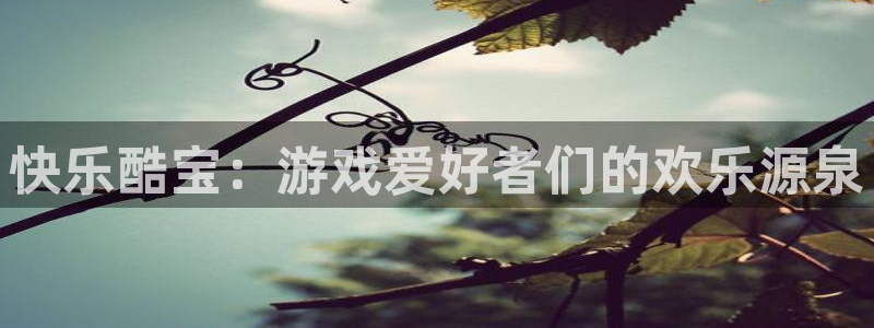 快乐酷宝：游戏爱好者们的欢乐源泉
