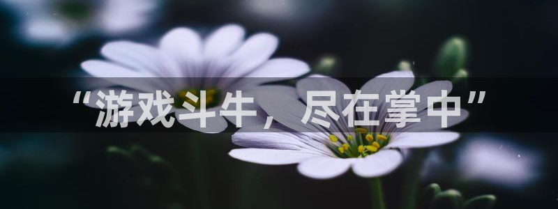 南宫平台合法吗：“游戏斗牛，尽在掌中”