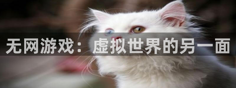 南宫官网登录：无网游戏：虚拟世界的另一面