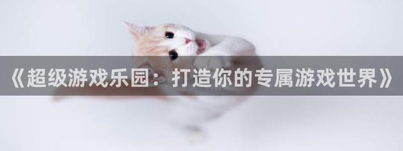 南宫官网入口下载