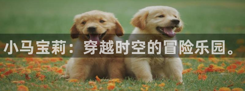 南宫平台能不能欠钱玩：小马宝莉：穿越时空的冒险乐园。