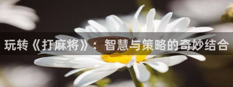 南宫有几个商场：玩转《打麻将》：智慧与策略的奇妙结合