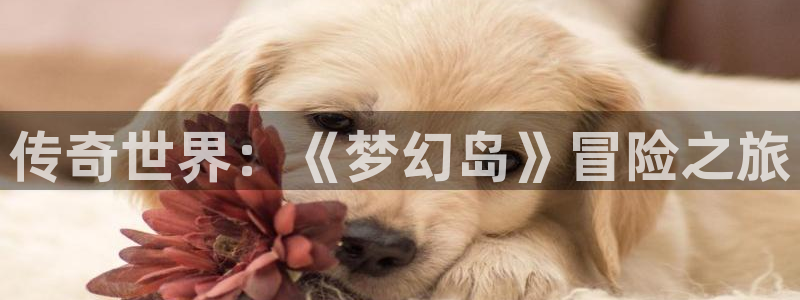 南宫休闲度假区