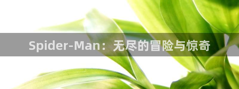 南宫官网下载ios：Spider-Man：无尽的冒险与惊奇